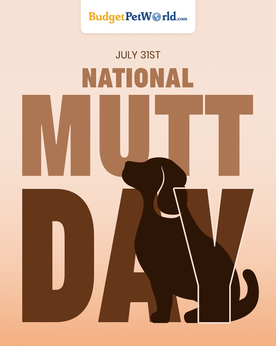 BudgetPetWorld's tweet photo. It’s National Mutt Day! 🐾
Celebrating the charm and loyalty of our mixed-breed buddies today and every day.
#NationalMuttDay #MixedBreedLove #RescueDogsRock #MuttsOfInstagram #PetCareDeals #BudgetPetWorld #CelebrateMutts #DogLovers #AdoptDontShop #DogMomLife #furryfriend https://t.co/eO5560Pkwm