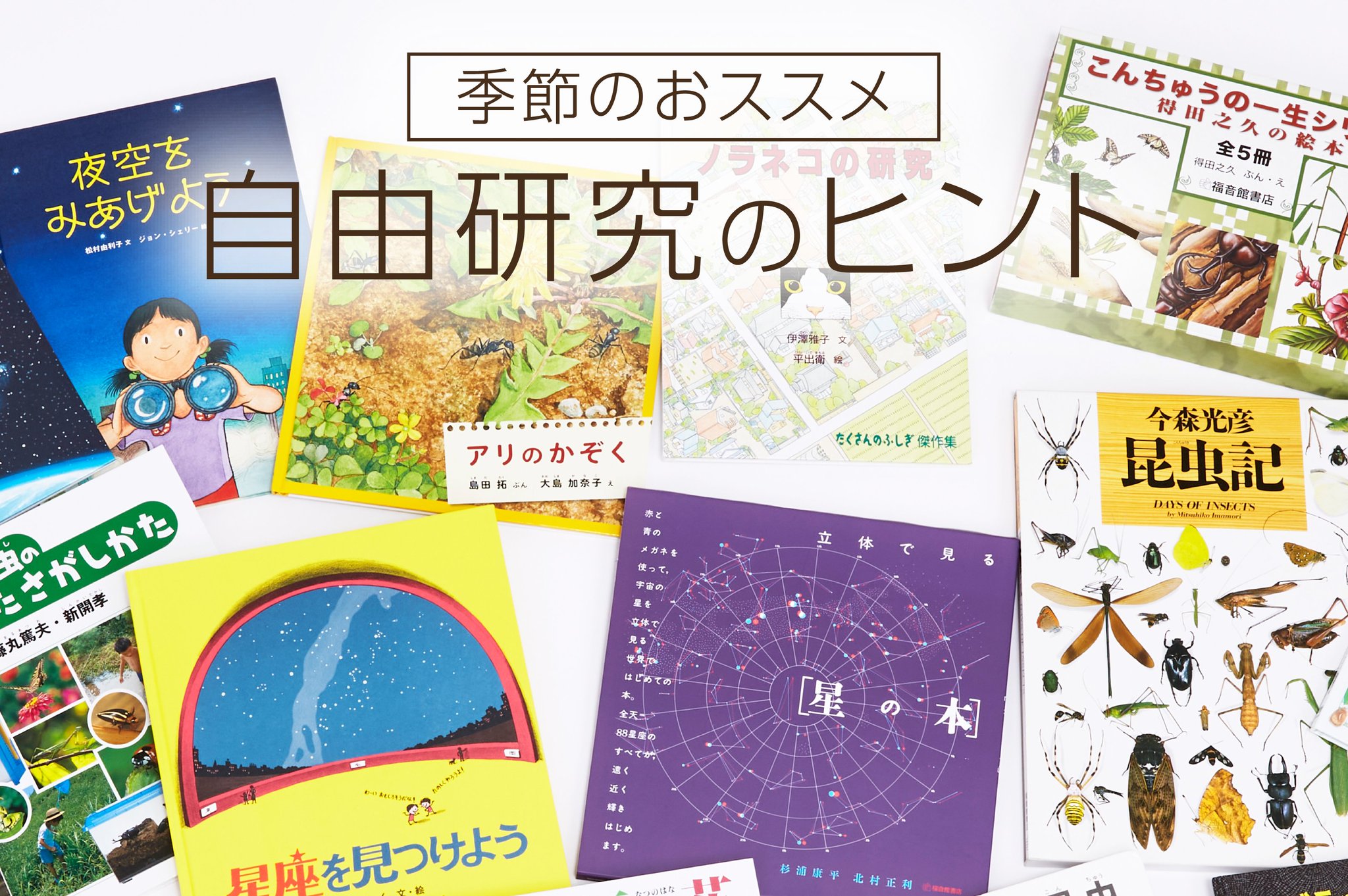 たくさんのふしぎ　２０１７年版１２冊セット福音館書店発行 小学3年生から】たくさんのふしぎ｜月刊絵本のご案内｜福音館書店