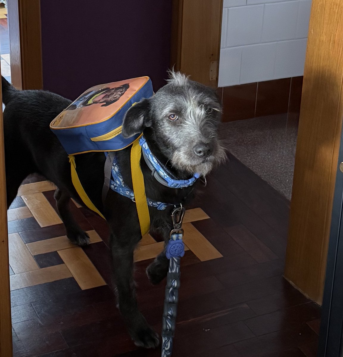 Bom dia só pra quem preferia ter ficado dormindo