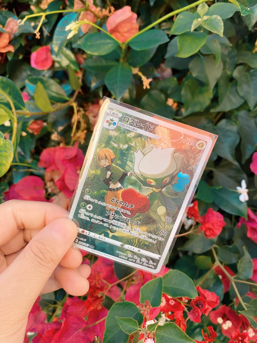 day 28 of posting my favorite pokémon cards in my collection ⸜(｡˃ ᵕ ˂ )⸝♡

roserade from lost orgin trainer gallery or battle region! gardenia is easily one of my favorite gym leaders. love her relationship with roserade so much!  .⋆𐙚 ̊.

happy wednesday!☀️

#Pokemon