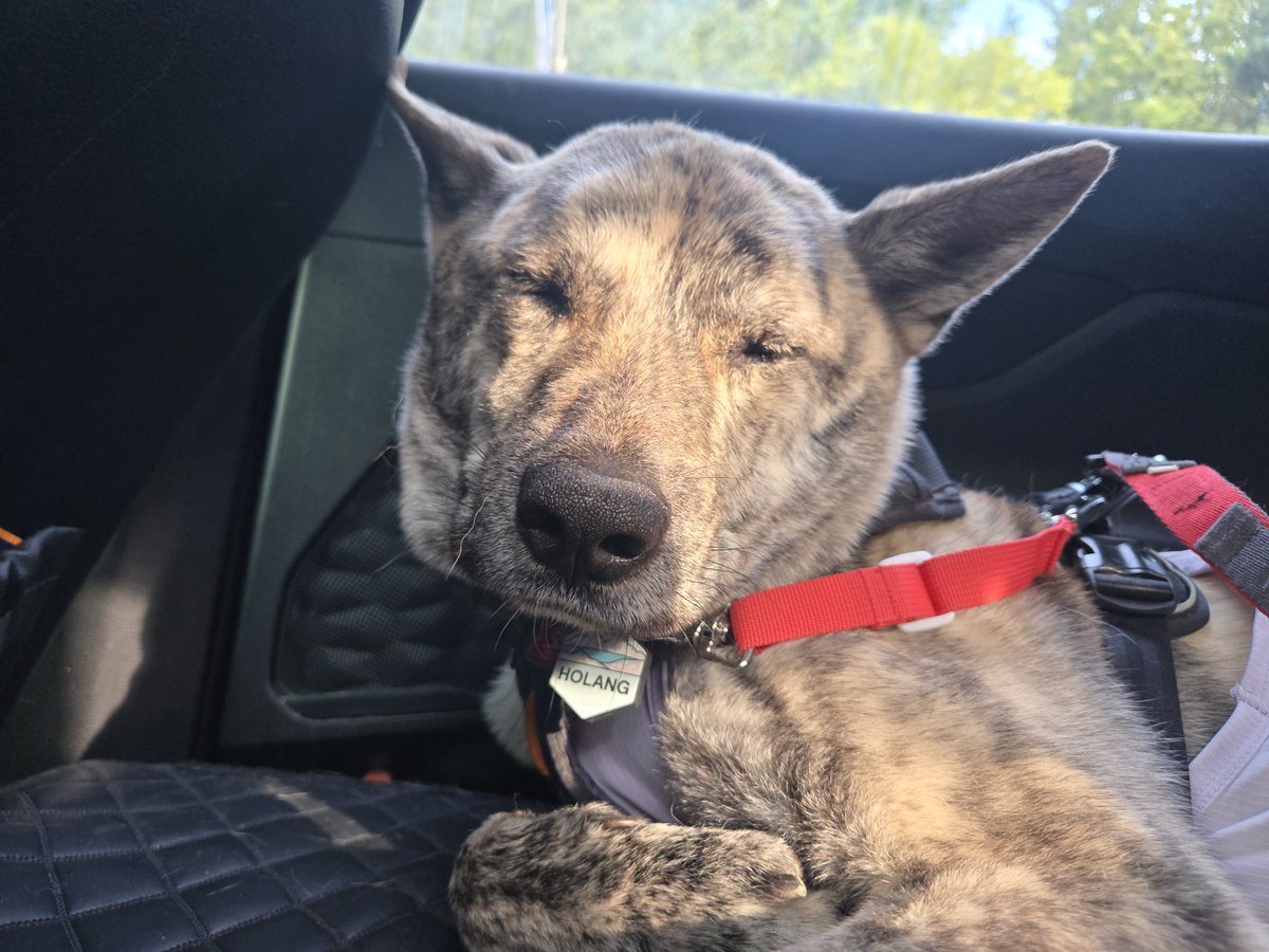 피곤한거 온몸으로 티내는중