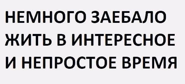 Елена Счастливцева tweet media