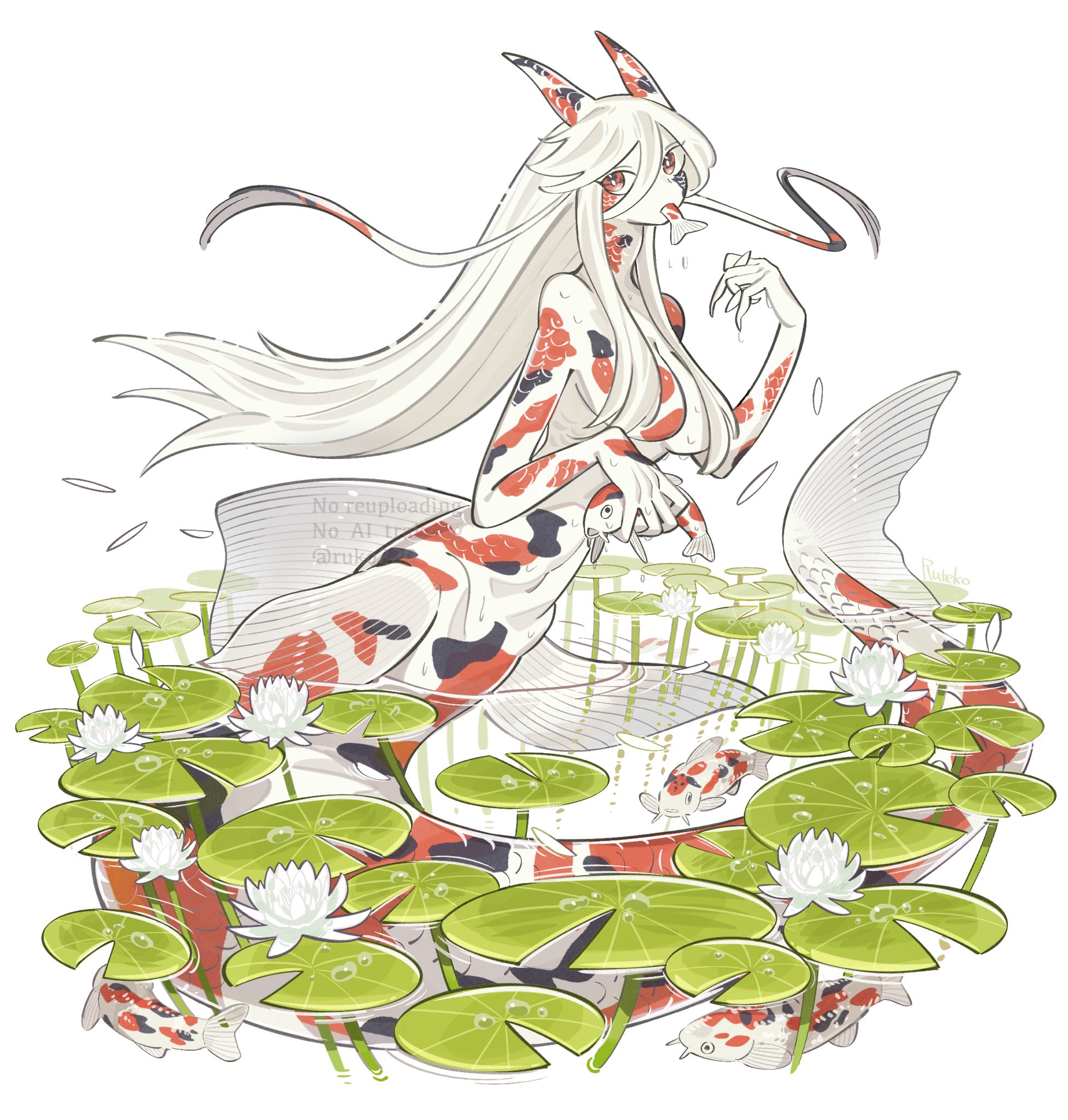 ルー豆柴 (@wzodiac) / X