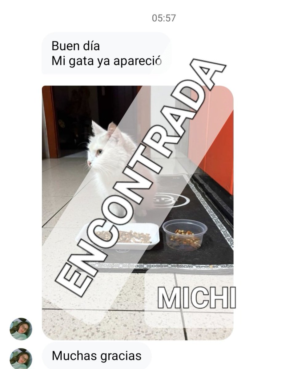 Nos complace informar que #MICHI, ya se encuentra con su familia, gracias a tod@s por compartir la información.