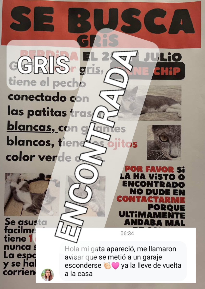 Nos complace informar que #GRIS, ya se encuentra con su familia, gracias a tod@s por compartir la información.