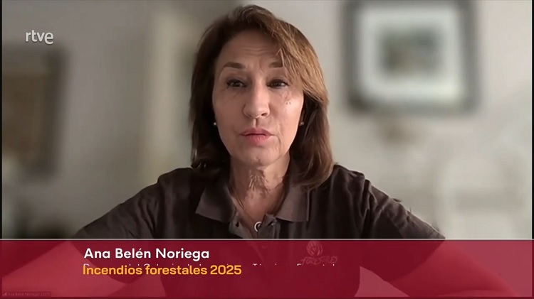 Con incendios aún activos, rescatamos la intervención de la decana de nuestro Colegio <a href="/IngForestal50/">Ingeniería Forestal</a> , Ana Belén Noriega <a href="/AnaBNoriega/">Ana Belén Noriega</a> , realizada este 20 de julio en el informativo del canal 24H de <a href="/rtvenoticias/">RTVE Noticias</a> de las 14h.

En nuestro canal de YouTube:
youtube.com/watch?v=IcuBZV…