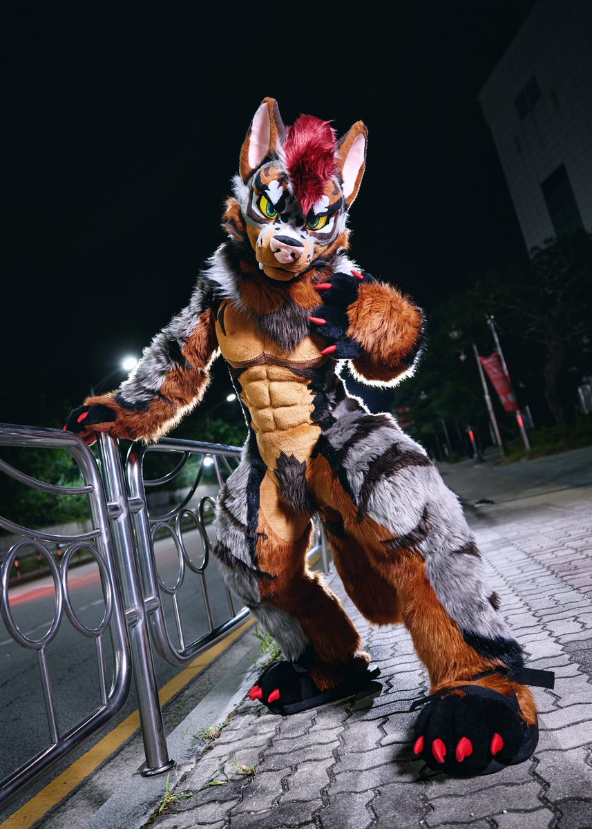 run_charizard's tweet image. Challenge me!
#FURSTCLASS