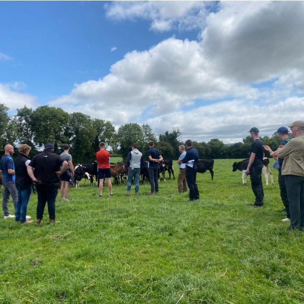 LIC Ireland tweet media