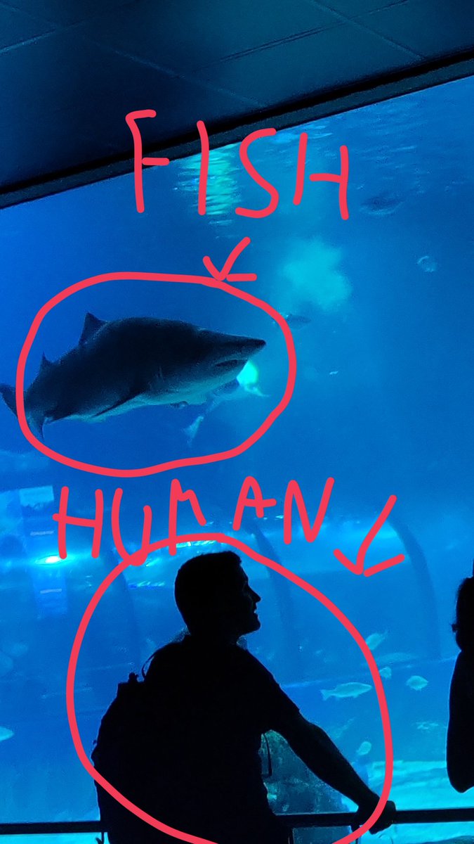 BotOnWork🔜Behind you tweet media