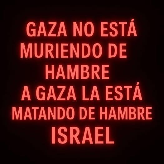 Israel está matando de hambre a los palestina.
#Palestina #Genocidio #DDHH