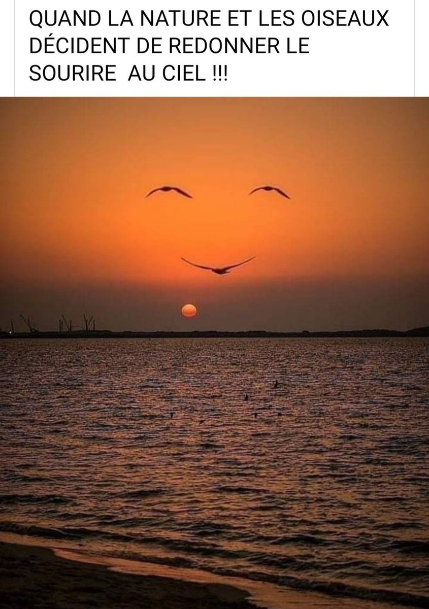 José 🇫🇷 (@rogerruizo) on Twitter photo <a href="/Paroles_auteurs/">Paroles d'auteurs</a> <a href="/nadine_Glauser/">Nadine Isabelle 🇨🇵🖤🤍🌴🦜🎀🌹</a> Françoise j'ai aimé.Elle est dans la lumière....Une VIE avec un V. <a href="/Paroles_auteurs/">Paroles d'auteurs</a> <a href="/nadine_Glauser/">Nadine Isabelle 🇨🇵🖤🤍🌴🦜🎀🌹</a> Françoise j'ai aimé.Elle est dans la lumière....Une VIE avec un V.