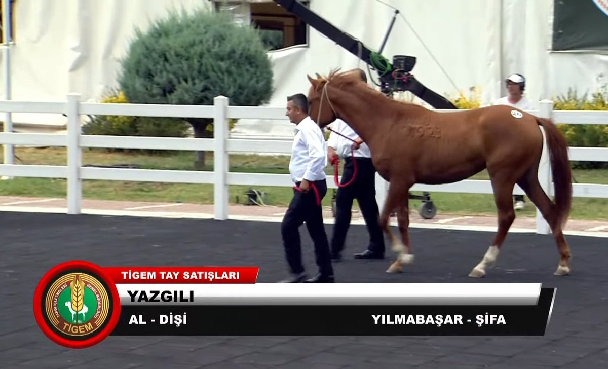 YAZGILI

340 Bin /  Serkan Tekinalp