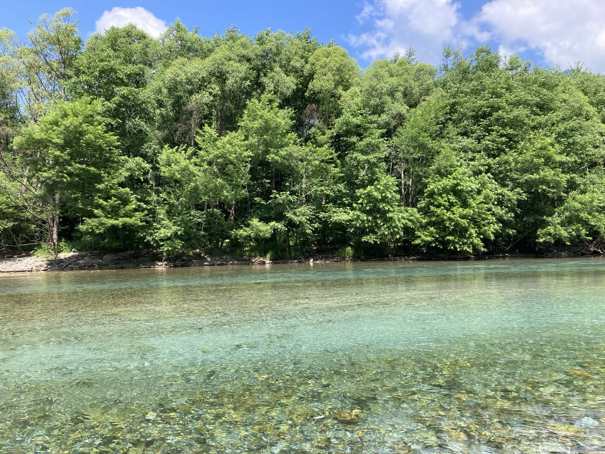 暑中お見舞い申し上げます。
酷暑に災害、今年の夏も厳しそうです。どうぞ皆さまご無事にお過ごしくださいね。