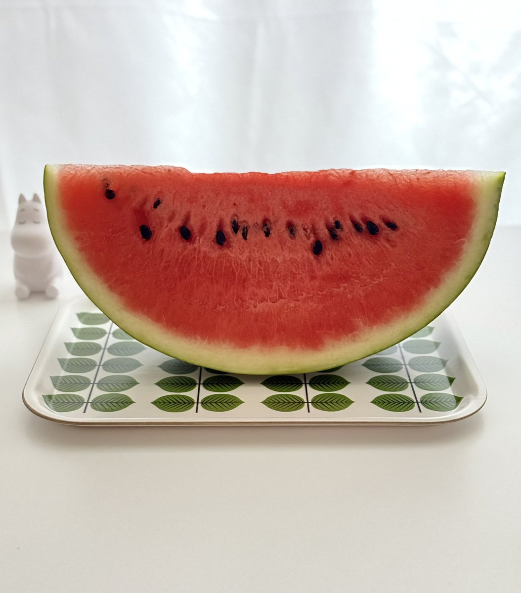 今日は🍉を楽しみに
頑張りました💪✨
夏季休暇やら病欠やらで人足りなさすぎ🫠
会報は明日届くと信じてる🥹