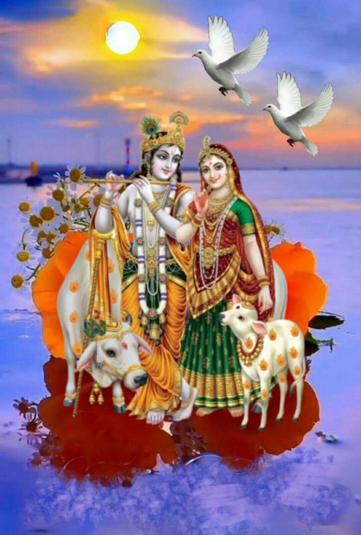 शुभ संध्या वंदन 🥀 
               जय श्री राधे कृष्णा 🥀 
🥀🥀🥀🥀🥀🙏🙏🥀🥀🥀🥀🥀