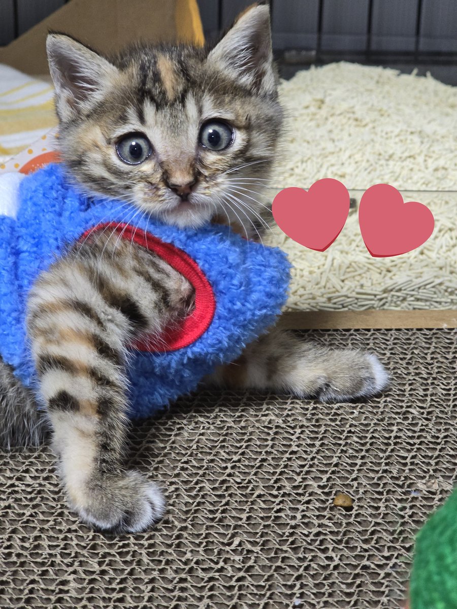 너구나 내 후배가...