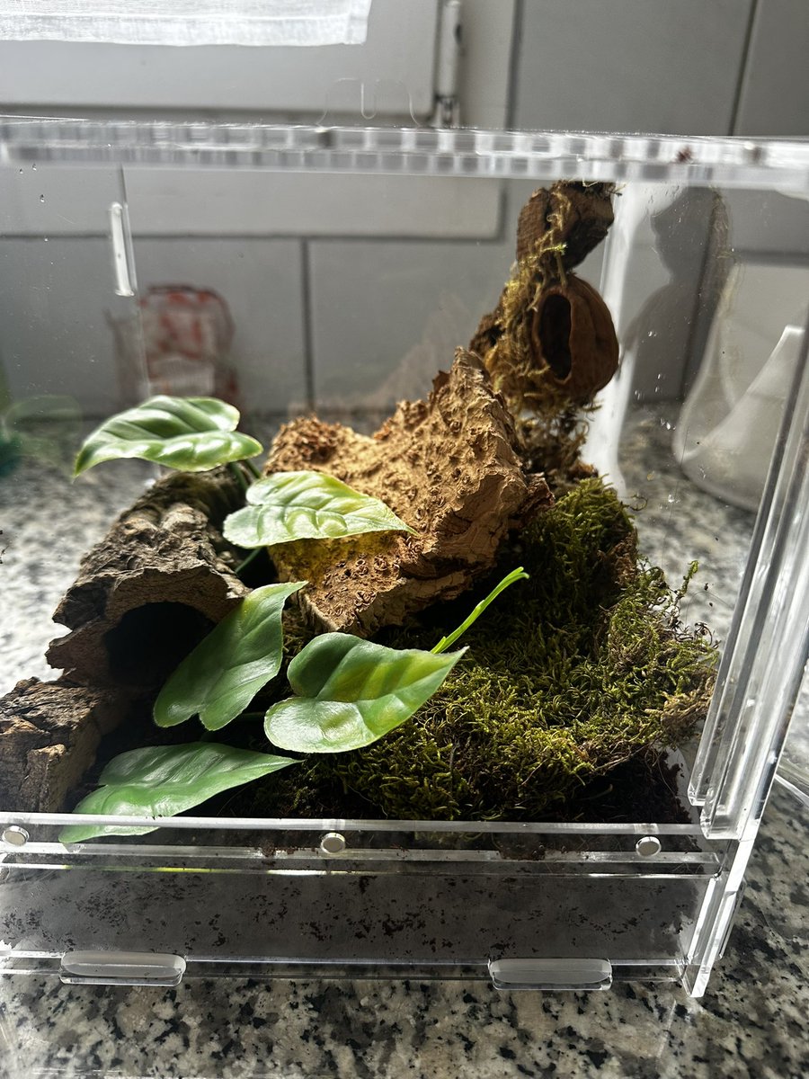 rate my enclosure