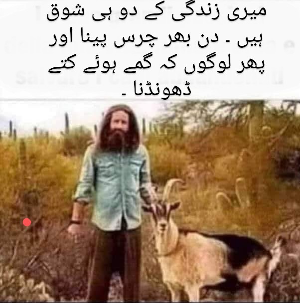 میرے دوست نے مجھے فوٹو بھیجی کہ فیس بک پہ لوڈ کرنی کوئی اچھی سی کیپشن بنا کے بتاؤ ۔۔😂😂