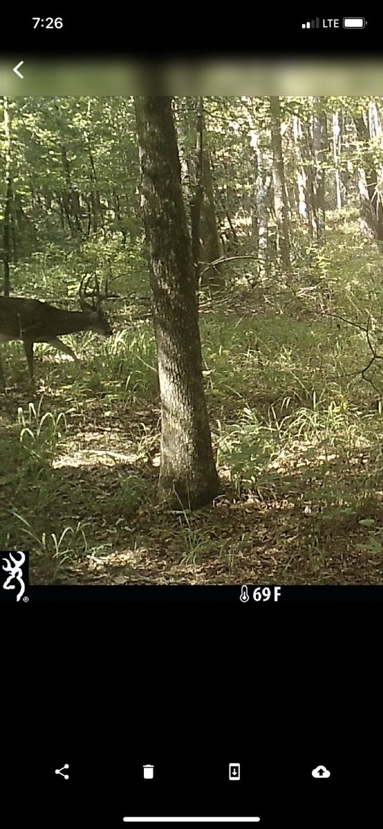 GOOD MORNING AND HAPPY FRIDAY EVE!!! Counting down the days until I can get this boy with my bow…. Oct 15th… chomping at the bits