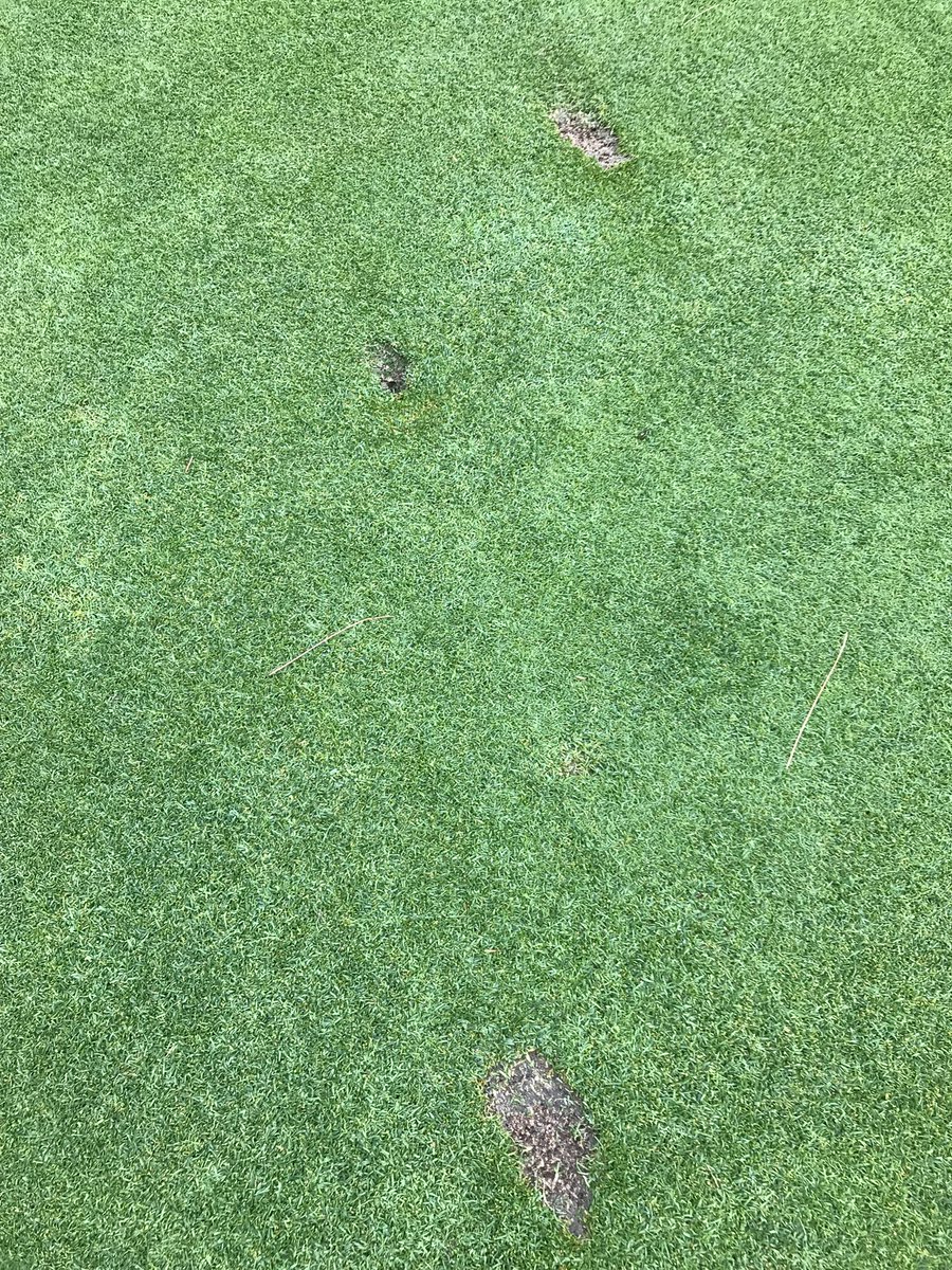 Absolute twat waffles. Twilight golf is the Bain of my existence as a super. #twoweeksoftheahits