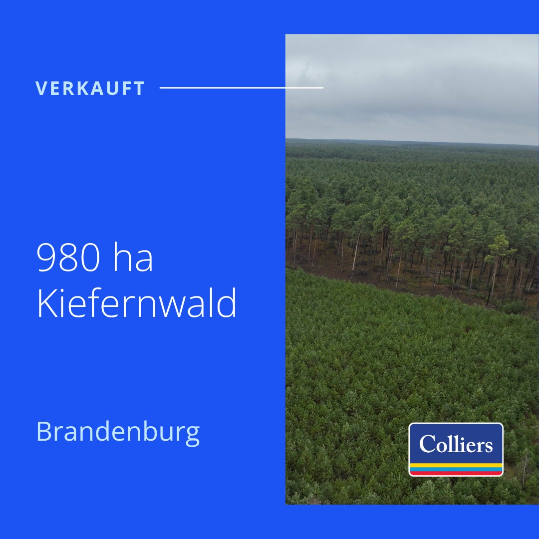 Ein weiterer großer Abschluss: Der Verkauf eines 980 ha großen Kiefernwaldes in #Brandenburg. Der Verkäufer ist privat, der Käufer ein institutioneller Investor - ein Beispiel der einzigartigen Expertise von Colliers #Land &amp; #Forst: Lokales Know-how und internationales Netzwerk.