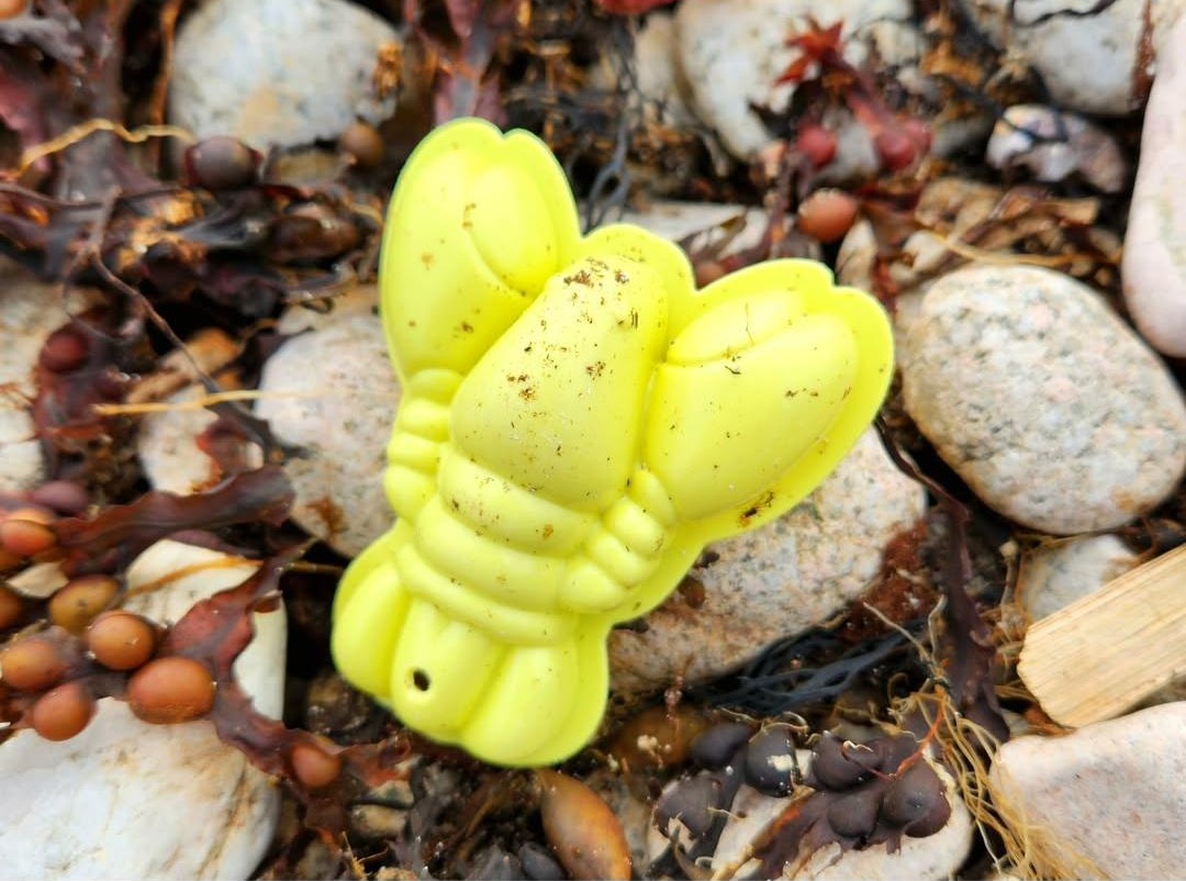 🌊 Beach clean vibes at Silverstrand! Big thanks to @GalwayWomensShed and <a href="/Sandlarks/">Sandlarks</a> for an amazing day 💙 Every piece collected protects our shores 🦞 Keep showing up! Share your finds to spread the #BeachClean movement! #CleanCoasts #KeepOurCoastsClean