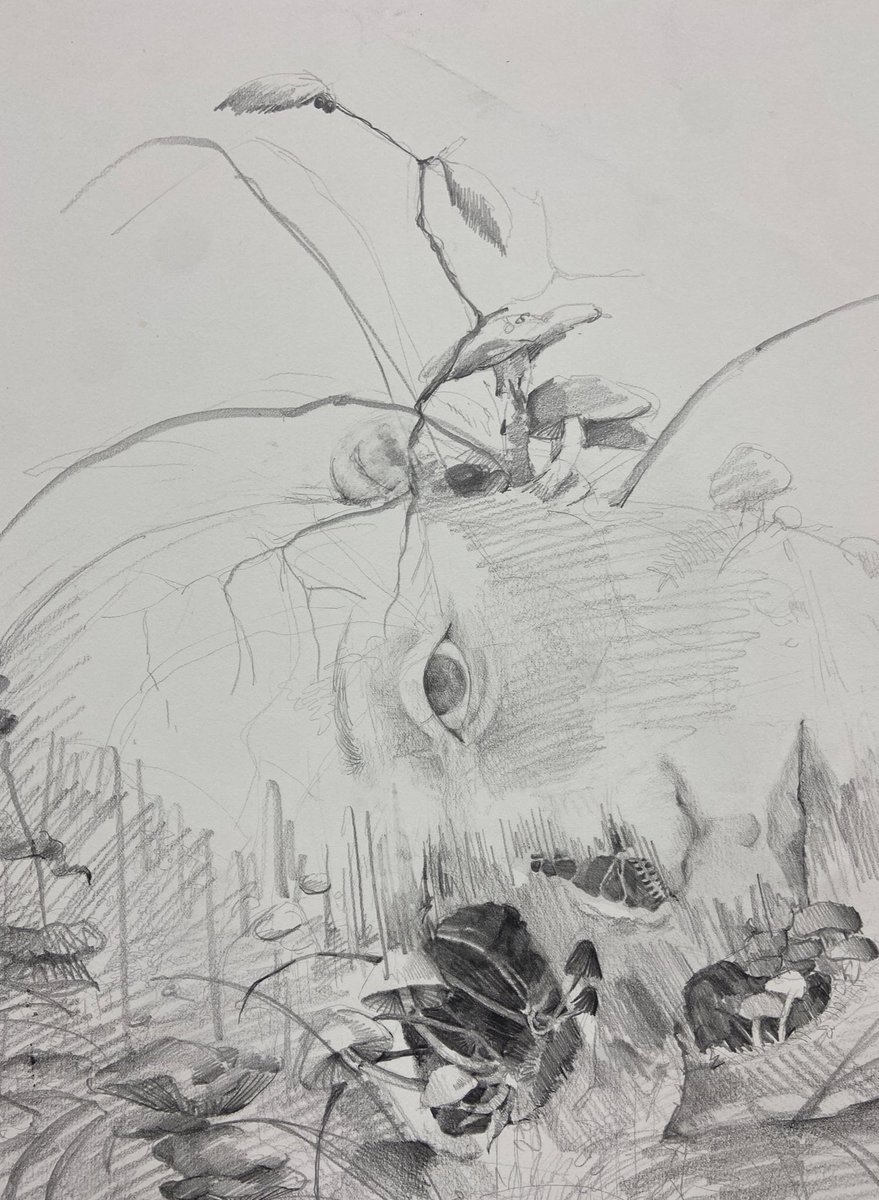 먼슬리 tweet media