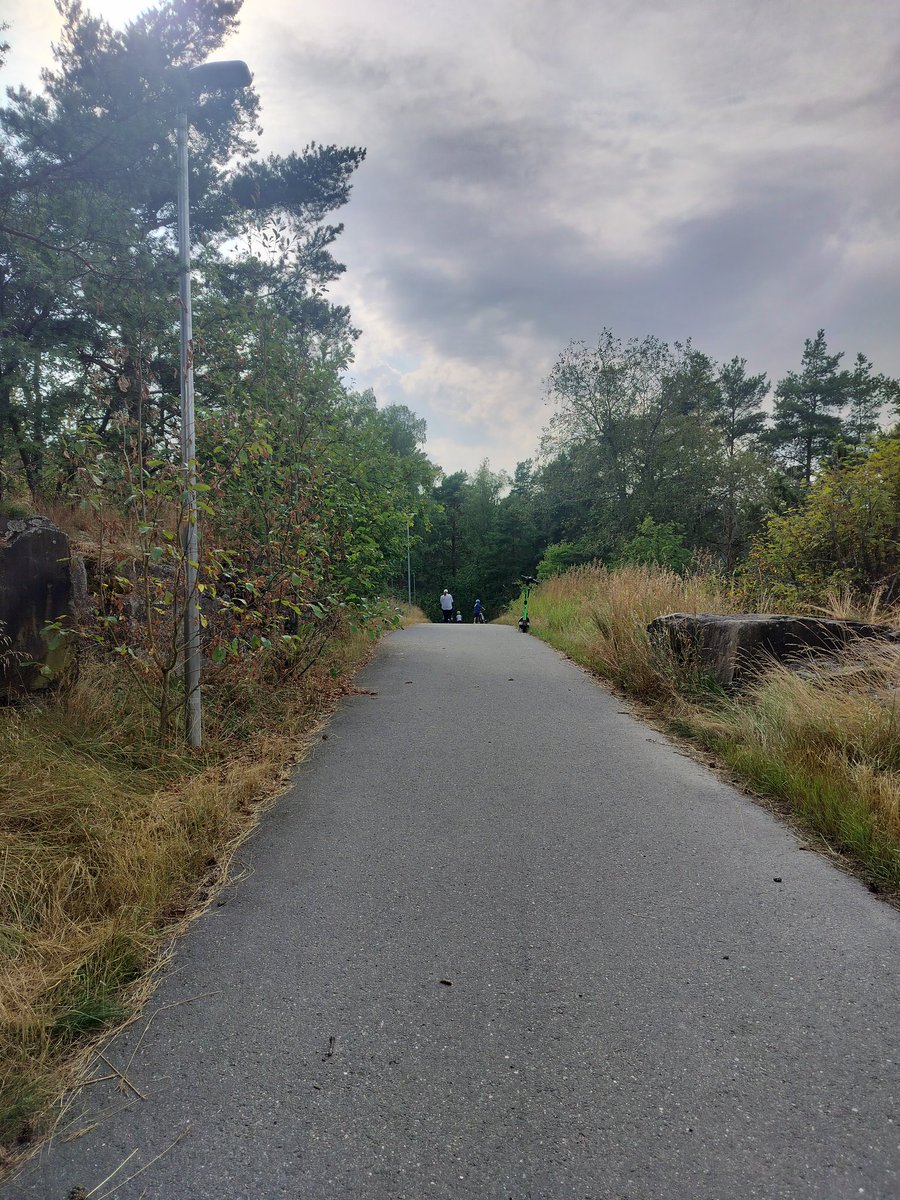 TurkuStreets's tweet photo. Ystävyyskaupunkien hengessä löytyy myös #göteborginpolku.

#pitkämäki #everystreetofturku #crazyhobby #turku #kissmyturku https://t.co/aASqu8lgmM