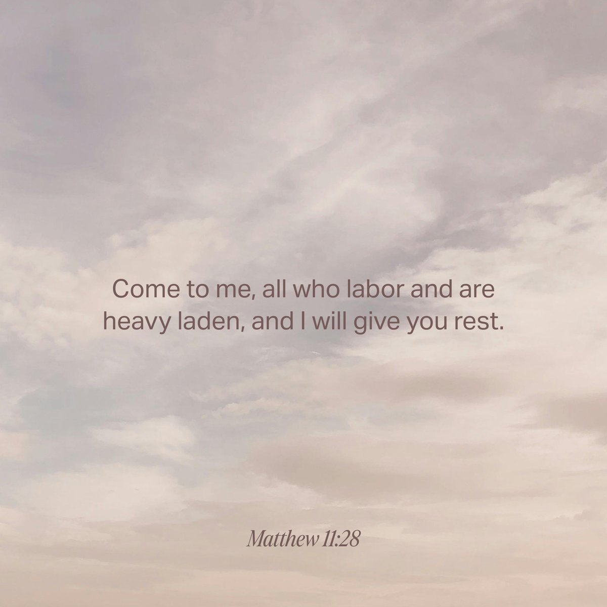 YouVersion Bible App tweet media