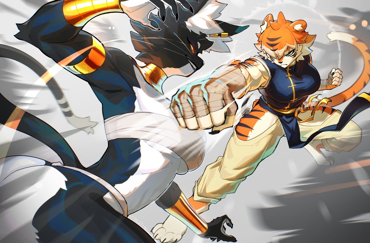 🐱 Cat vs Tiger 🐯