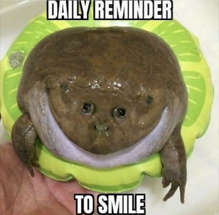 The Frog Pond (@thefrogpond_) on Twitter photo 