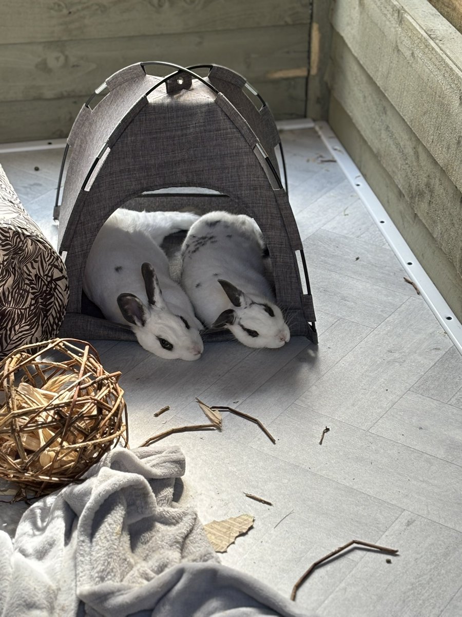 The morning after the festival 🤣