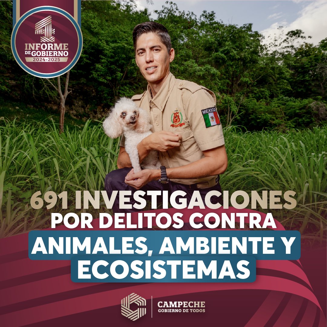 Atendimos 691 investigaciones por delitos contra animales y el ambiente.

#Layda4Informe