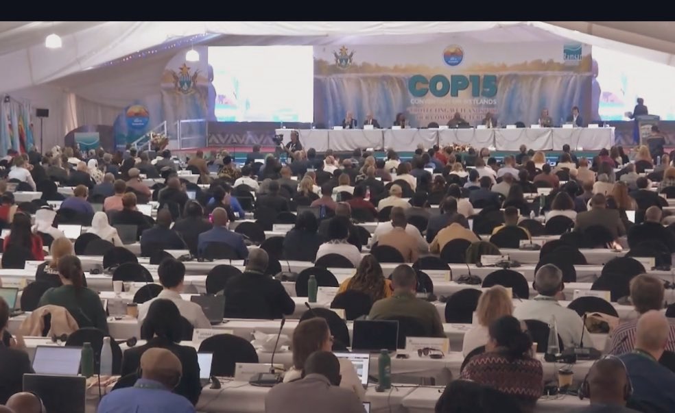 UKinZimbabwe 🇬🇧 🇿🇼 (@ukinzimbabwe) on Twitter photo 🇬🇧🇿🇼 The UK & Zimbabwe's resolution on equitable governance & inclusive management of wetlands was successfully adopted today, the last day of #RamsarCOP15!👏🙌
#VictoriaFallsDeclaration 
Proud to lead global action on wetlands: backing finance, governance & lasting protection. 🇬🇧🇿🇼 The UK & Zimbabwe's resolution on equitable governance & inclusive management of wetlands was successfully adopted today, the last day of #RamsarCOP15!👏🙌
#VictoriaFallsDeclaration 
Proud to lead global action on wetlands: backing finance, governance & lasting protection.