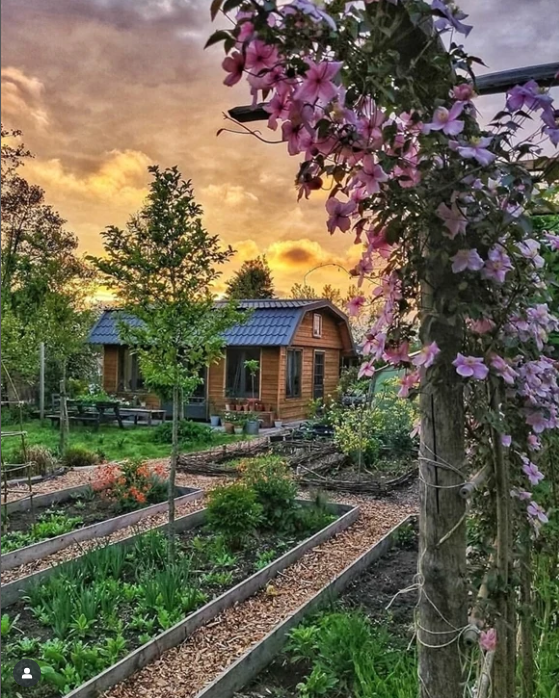 Gardendelight's tweet photo. Garden Question of the Day: How does gardening bring joy in your life? We'd love to know ❤
.
Shoutout to @silviadekker for sharing this awesome garden view 🌸🌿💛 https://t.co/mJzedlRlGK