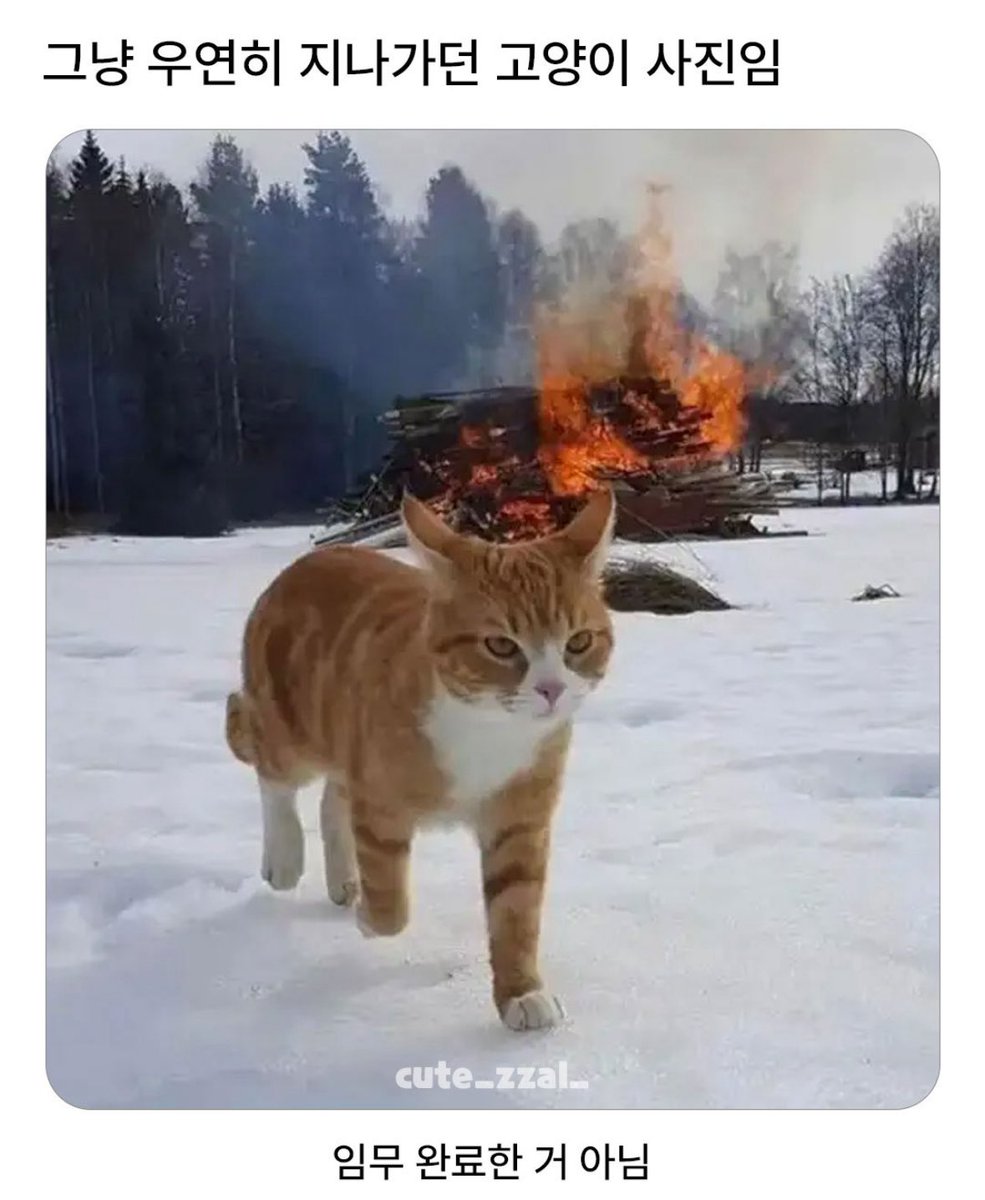 북크북크 (@akzkfltm2) on Twitter photo 