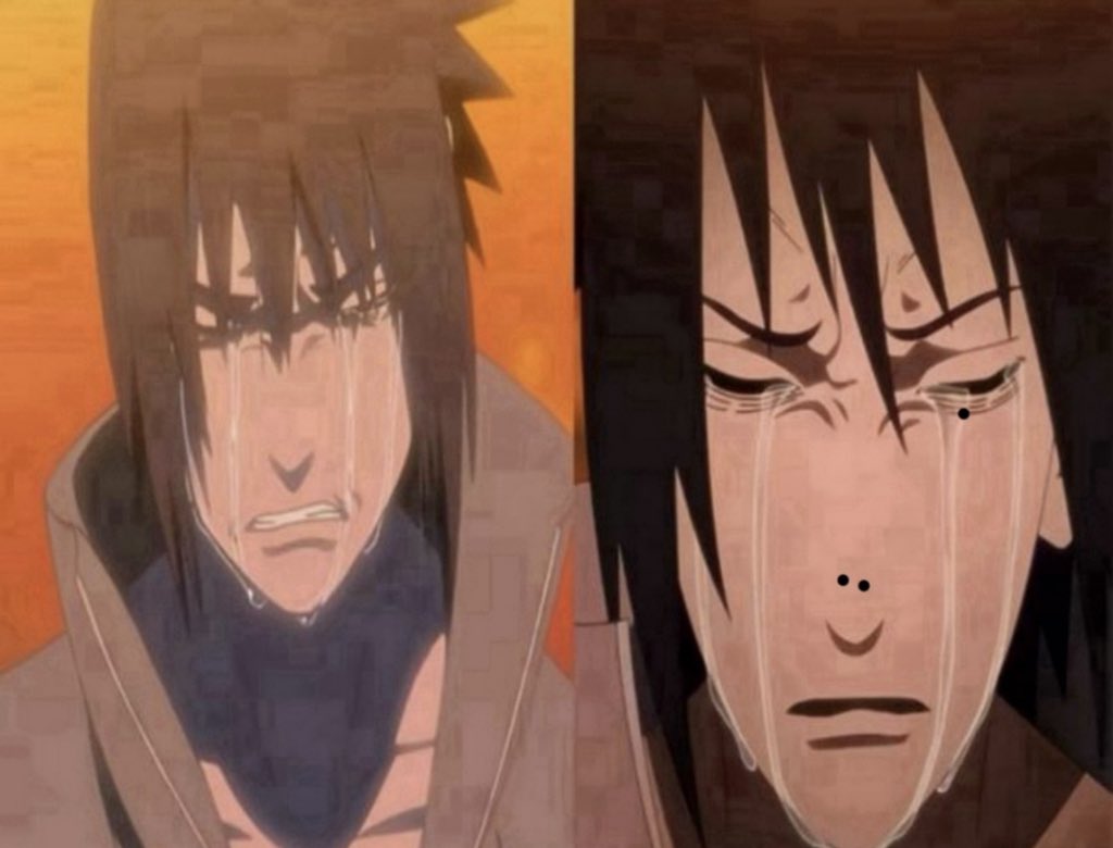 🕷️spider tweet media