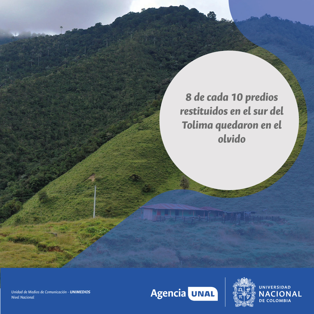 #AgenciaUNAL | Más del 78 % de los predios restituidos en diversos municipios del sur del Tolima nunca regresaron a sus dueños originales. La falta de acompañamiento legal y políticas agrarias fallidas impidieron consolidar la propiedad rural.

 ow.ly/ZXZb50Wy9LX