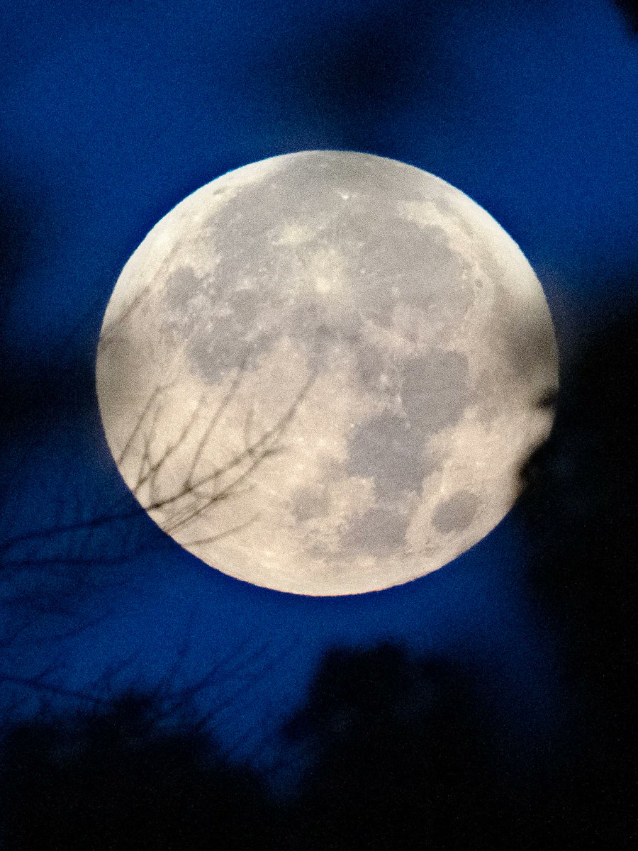 Tomorrow is a full moon.