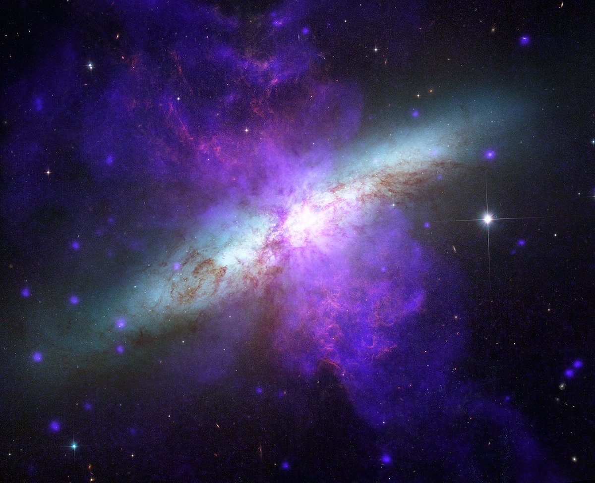 🪐💫 M82 es una #galaxia con brotes estelares, donde la formación de #estrellas es de 10 a 100 veces mayor que en galaxias normales como nuestra #ViaLactea. La imagen de aproximadamente 27 000 años luz de diámetro combina observaciones de Chandra Observatory y telescopio Hubble.