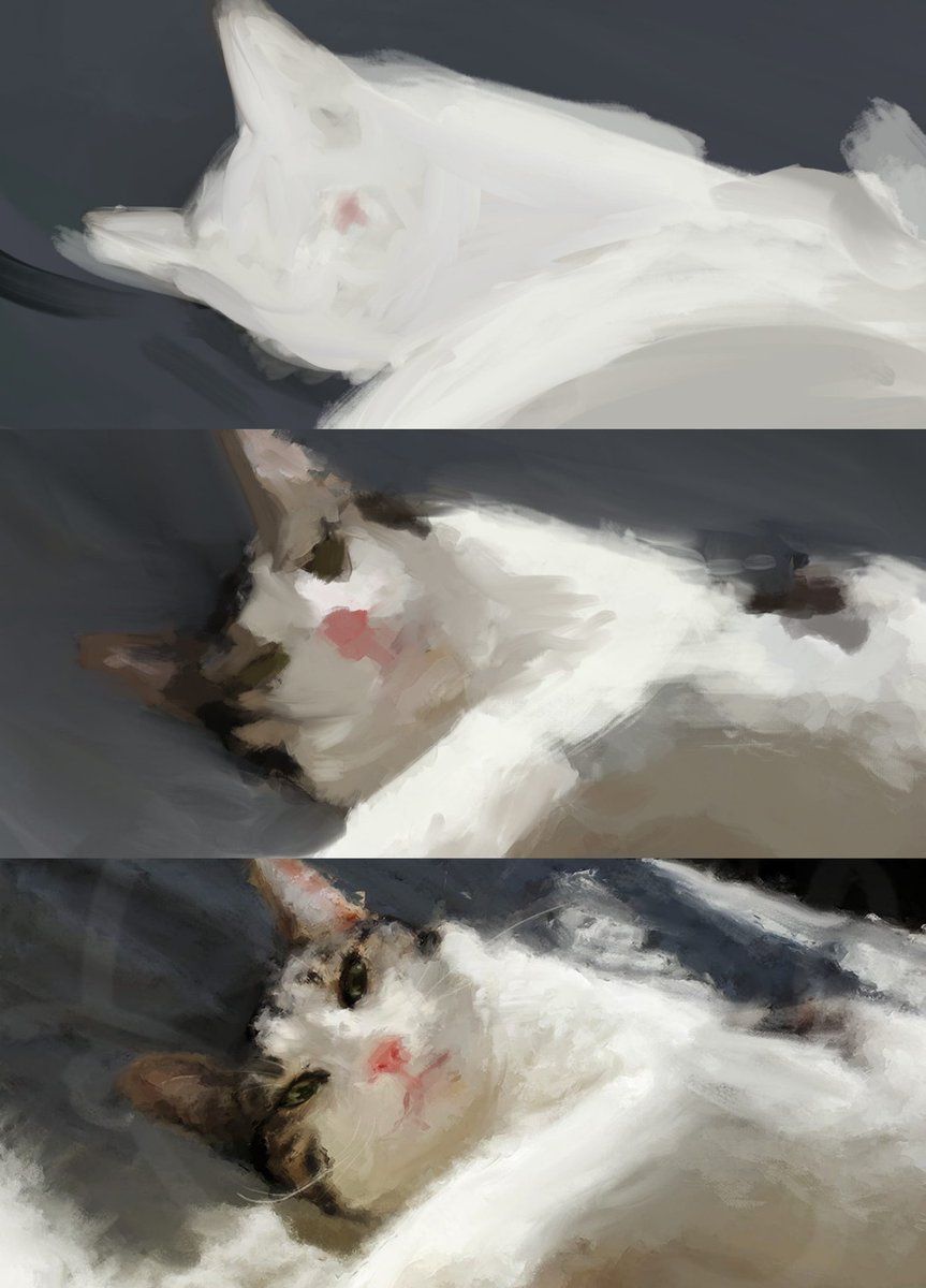 While painting my cat, I’ve been pondering on the way light illuminates an infinite universe in her eyes. When I peer into those tiny marbles stretching into the forever, past my own reflection, whole constellations and galaxies stare back at me. parisisacatdad.substack.com