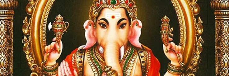 miguel Anfel tweet media