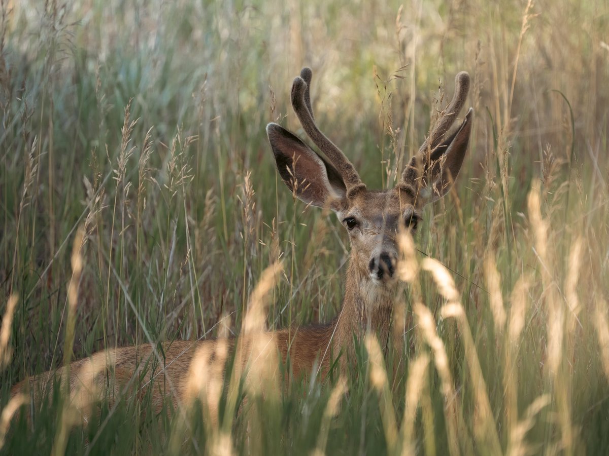 Eric Liffrig tweet media