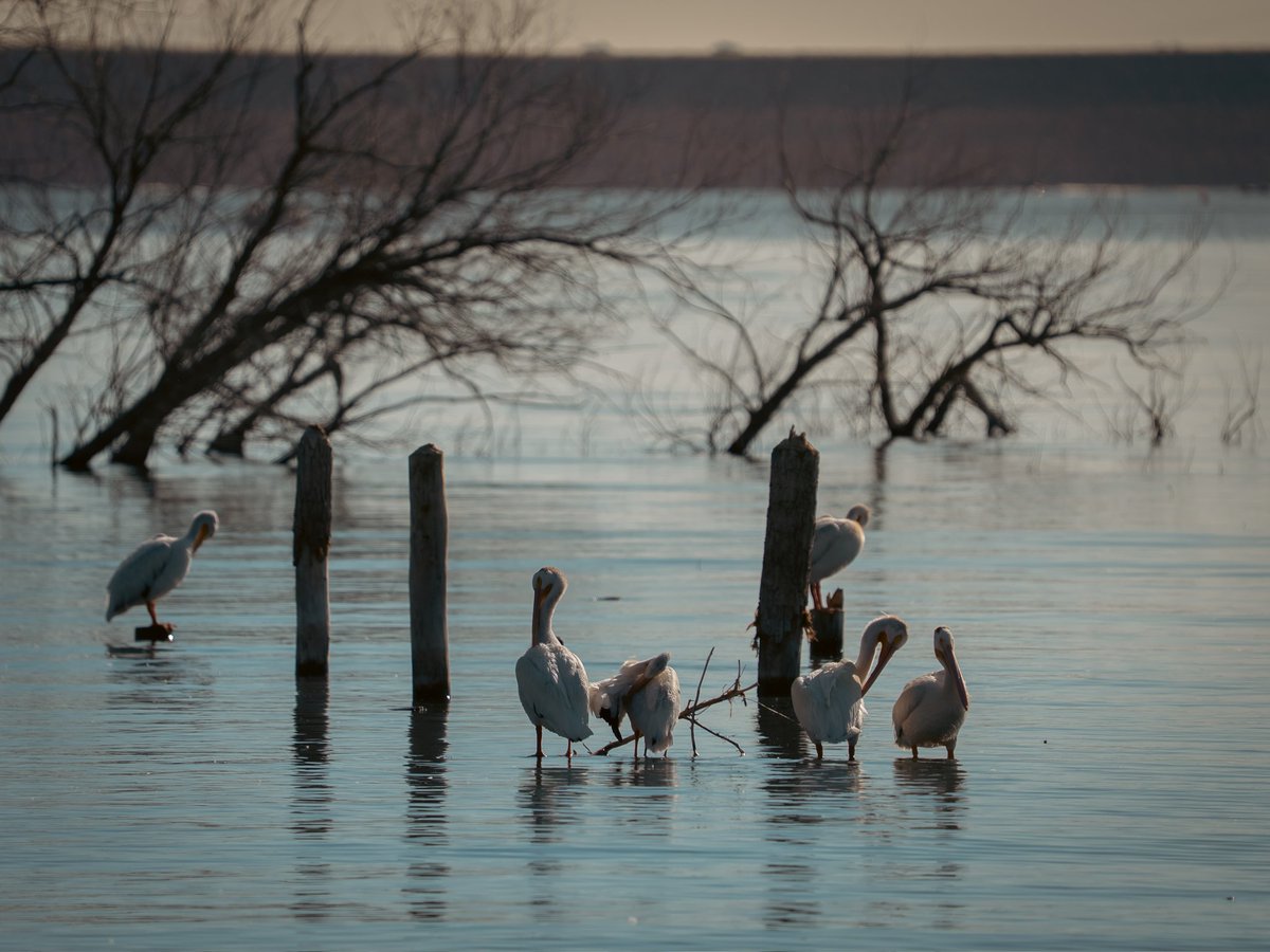 Eric Liffrig tweet media