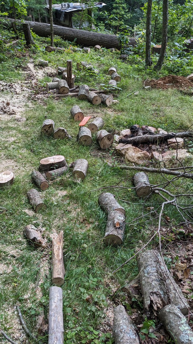 StrandFarm's tweet image. If you don't know, now you know. 

#backsaver