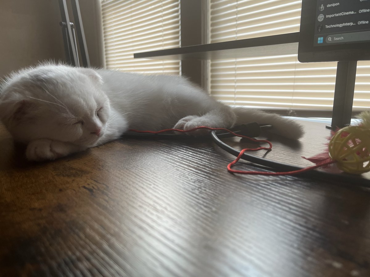 Andrew (@pizzatcg) on Twitter photo 