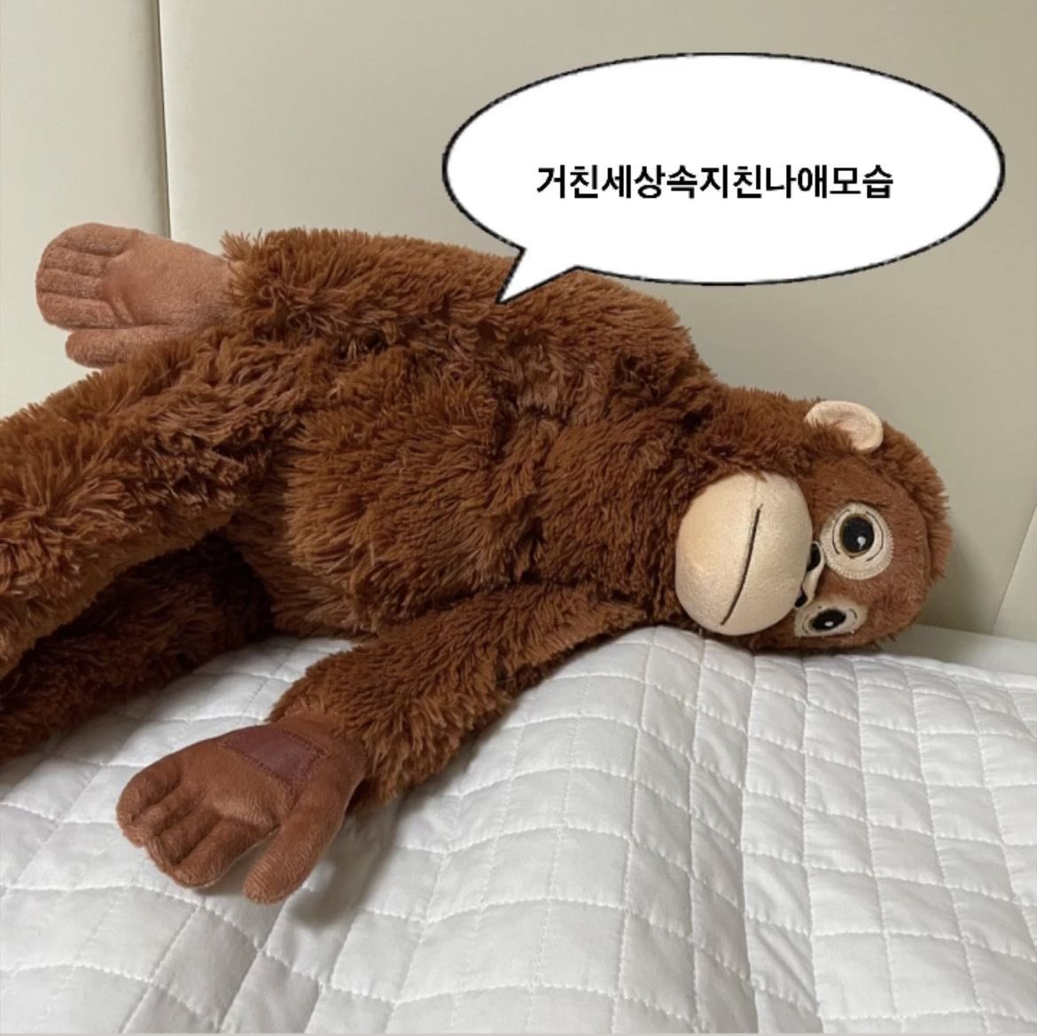 아이고 오랜만임둥
저의 근황.. 궁금한 사람이.. 아직 잇나..?
모.모르겟어 암튼 얼레벌레 살아가는 중입니다
현재 여행와잇슴 그냥 일안하고 맨날 놀고싶다