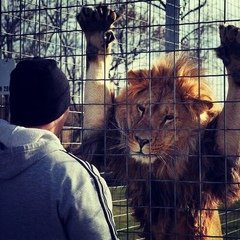 IzoSk4rt's tweet photo. Bro, personne ne t'adresse la parole, personne ne t'aime. Ça, ce n'est pas une vie. Stp viens à l'intérieur ! https://t.co/qIedMBco1a