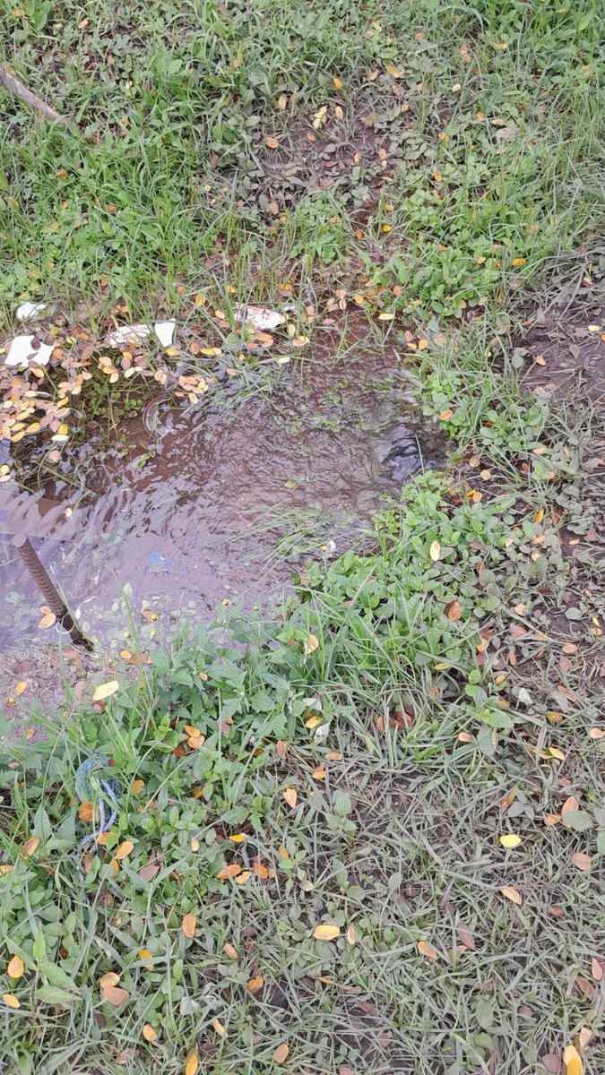 jetorres05's tweet photo. Tubería rota en el puerto de Vacamonte tres semana en esta situación @IDAANinforma @tvnnoticias @alcaldiadearraijan https://t.co/QjYyjM8MaF