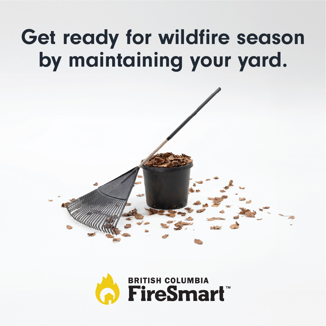 West Vancouver Fire & Rescue (@westvanfiredept) on Twitter photo Assessment
A yard full of dry leaves, branches, and other combustible debris is a yard that increases your wildfire risk. 
Book a free FireSmart Home Assessment to improve the resiliency of your home. 
Visit westvancouver.ca/firesmart-comm… Assessment
A yard full of dry leaves, branches, and other combustible debris is a yard that increases your wildfire risk. 
Book a free FireSmart Home Assessment to improve the resiliency of your home. 
Visit westvancouver.ca/firesmart-comm…